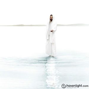 Meet your Posher, Carol lee